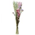 Floristik24 Džiovintų gėlių puokštė šiaudų gėlių paplūdimio alyvinė rožinė 58cm