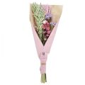Floristik24 Džiovintų gėlių puokštė šiaudų gėlių paplūdimio alyvinė rožinė 58cm