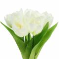 Floristik24 Pavasario puošmenos tulpės kekėje baltos 26,5cm 5vnt