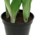 Tulpė rožinė, žalia vazonėlyje Dirbtinis vazoninis augalas dekoratyvinė tulpė H23cm