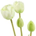 Floristik24 Tulpių kremas Real-Touch gėlių dekoravimas L43,5cm 5vnt