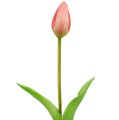 Floristik24 Tikras rožinės spalvos tulpių apykaklė