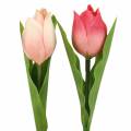 Floristik24 Tulpių mišinys dirbtinės gėlės rožinis abrikosas 16cm 12vnt