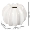 Dekoratyvinė moliūgų vaza, blizgi, rudens dekoracija svetainei, 19 cm | Floristik24.lt