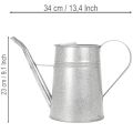 Cinkuota dekoratyvinė laistytuvė, metalinė, pilka, vintažinio stiliaus, 1,7 l, aukštis 23 cm, stilingoms gėlių dekoracijoms ir vazonams | Floristik24.lt