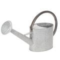 Floristik24 Vintažinė metalinė laistytuvė, sidabriškai pilka, stilinga sodo puošmena, gėlių vaza, ilgis 53 cm, aukštis 29 cm