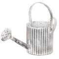 Floristik24 Vintažinis vazonas Ø17cm, dekoratyvinė laistytuvė, metalinis vazonas „shabby chic“