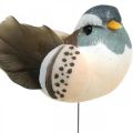 Floristik24 Papuošimas paukščiams, paukščiukai ant vielos, spyruoklinė puošmena mėlyna, ruda H3,5cm 12vnt