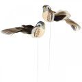 Floristik24 Papuošimas paukščiams, paukščiukai ant vielos, spyruoklinė puošmena mėlyna, ruda H3,5cm 12vnt