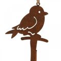 Floristik24 Kabanti dekoracija patina dekoracija paukštis vintažinė apdaila metalas 28cm