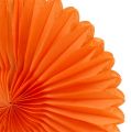 Floristik24 Korinio popieriaus gėlė oranžinė Ø20cm 3vnt