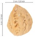Graikiniai riešutai dekoravimui, natūralus produktas, 3-4 cm, 300 g | Floristik24.lt