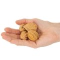 Graikiniai riešutai – natūralus produktas stalo dekoravimui ir „pasidaryk pats“ projektams. Natūralūs graikiniai riešutai, 4–5 cm, 300 g. | Floristik24.lt