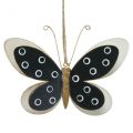 Floristik24 Wall Art Butterfly Deco juodas baltas auksas metalinis 15 cm