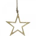 Floristik24 Kalėdų puošmena žvaigždė, advento puošmena, žvaigždžių pakabukas Golden B15,5cm