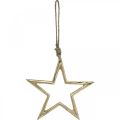 Floristik24 Kalėdų puošmena žvaigždė, advento puošmena, žvaigždžių pakabukas Golden B15,5cm
