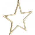 Floristik24 Kalėdinės dekoracijos žvaigždė, Advento puošmena, žvaigždės pakabukas Golden B24,5cm