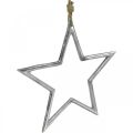Floristik24 Kalėdų puošmena žvaigždė, advento puošmena, žvaigždžių pakabukas sidabrinis P24,5cm