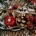 Floristik24 Kalėdinis vainikas su dekoratyviniais vaisiais apsnigtas Ø33cm