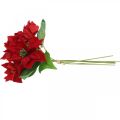 Floristik24 Dirbtinė puansetijos raudona šilko gėlių dekoracija 6 vnt
