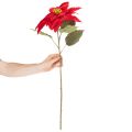 Dirbtinė puansetija, raudona, vieno stiebo, 82 cm | Floristik24.lt