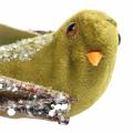 Floristik24 Kalėdų dekoravimo paukštis ant segtuko žalias, blizgantis 12cm 6vnt asorti