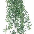 Floristik24 Žalias augalas kabantis dirbtinis kabantis augalas su pumpurais žalias, baltas 100cm