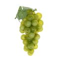 Floristik24 Vynuogės 15 cm žalios