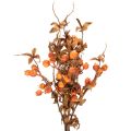 Dirbtinė gudobelės šakelė, rudens dekoracija, 75 cm | Floristik24.lt