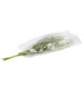 Floristik24 Sodo gėlės baltos L50cm 3vnt
