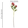 Dirbtinė raudonojo usnio šakelė dekoracijai, 67 cm, 3 vnt. | Floristik24.lt