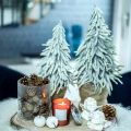 Floristik24 Žieminė eglė vazone, kalėdinė puošmena, eglė su sniegu H45cm