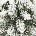 Žiemos puošmena Kalėdų eglutė žaliai balta Ø7cm H14cm 4vnt | Floristik24.lt