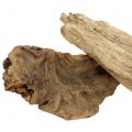 Floristik24 Natūralios šaknų medienos gabalai 500g