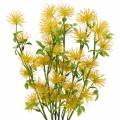 Floristik24 Xanthium šilko gėlė geltona 53cm 6vnt