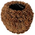 Floristik24 Dekoratyvinis vazonas su pušies kankorėžiais, natūralios išvaizdos, 27 cm. Apvalus kankorėžio vazonas, natūralios rudos spalvos, pagamintas iš pušies kankorėžių, 27 cm x 22 cm.