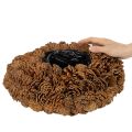 Apvalus kankorėžio vazonas sodinimui, 38 cm; apvalus kankorėžio vazonas, natūralios rudos spalvos, pagamintas iš kankorėžių, 38 cm x 14 cm | Floristik24.lt
