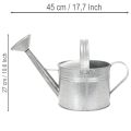 Vintažinis cinko laistytuvas, 27 cm - sodintuvas sodui ir terasai, metalinis gėlių vazonas | Floristik24.lt