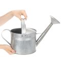 Vintažinis cinko laistytuvas, 27 cm - sodintuvas sodui ir terasai, metalinis gėlių vazonas | Floristik24.lt
