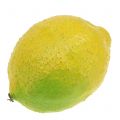 Floristik24 Dekoratyvinės citrinos 10cm 6vnt