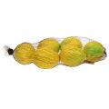 Floristik24 Dekoratyvinės citrinos 10cm 6vnt