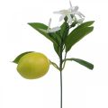 Floristik24 Deco šakelė citrina ir gėlės dirbtinė šakelė vasaros dekoracija 26cm 4vnt