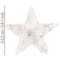 Beržinės žvaigždutės, mažos, 2 cm - 2,5 cm, baltai dažytos, 150 vnt. | Floristik24.lt