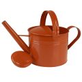 Metalinė dekoratyvinė laistytuvė kaimiško stiliaus, oranžinės-rudos spalvos, 26 cm, 5 l - universalus naudojimas kaip sodinimo ir dekoratyvinė talpykla | Floristik24.lt