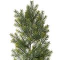 Floristik24 Dirbtinės eglės šakų girlianda kūrybinei floristikai, 175 cm