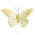 Floristik24 Dekoratyviniai drugeliai ant vielos 10cm 12vnt