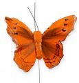 Floristik24 Dekoratyvinis drugelis ant vielos oranžinis 8cm 12vnt