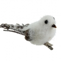 Floristik24 Sniego paukštis 14cm su segtuku
