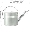 Vintažinė dekoratyvinė laistytuvė, metalinė, sidabrinė, 1,25 l vazonas | Floristik24.lt