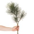 Dirbtinė pušies šaka stalo dekoracijoms ir vazoms, 70 cm | Floristik24.lt